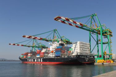 Ecoporto Santos inicia as operações dos portêineres 